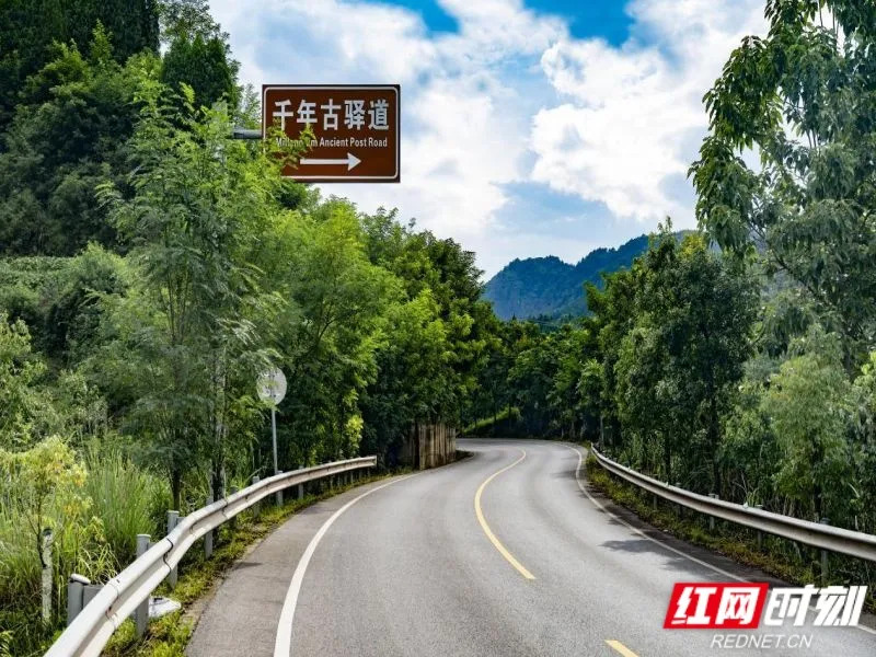 2026年“湖南省最美农村路”“湖南省最具人气路”名单公布!你的“家乡路”上榜了吗