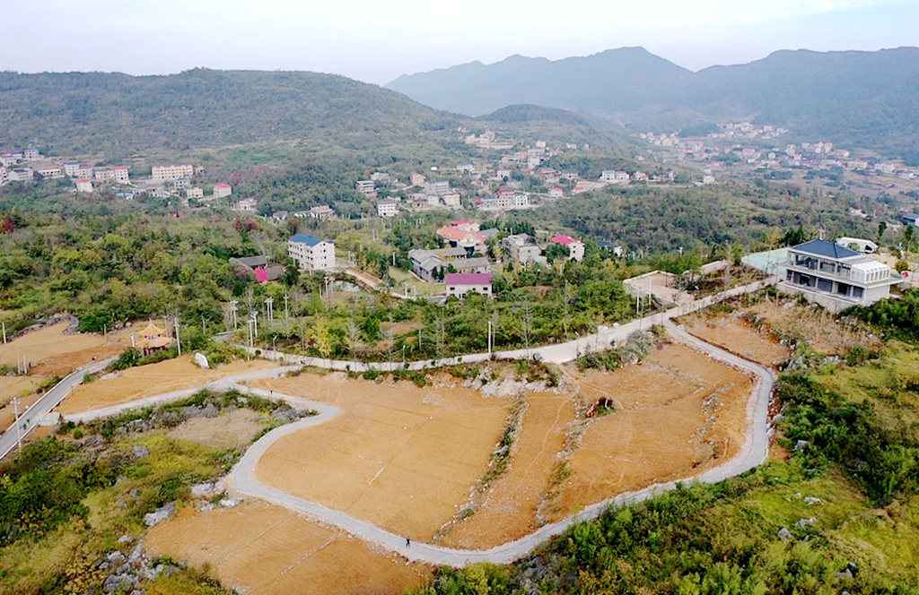 邵东立足地域资源，打造中药材特色产业