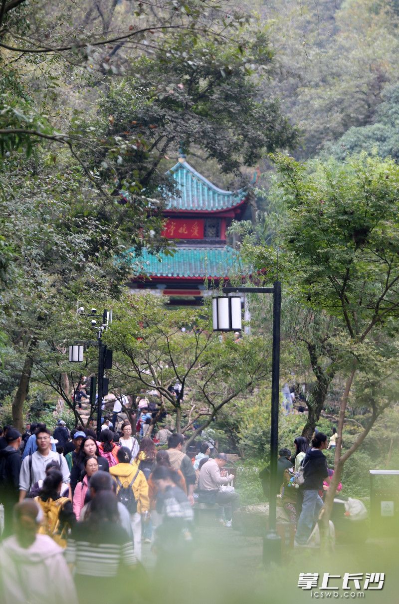 爱晚亭秋色吸引游人纷至沓来|组图
