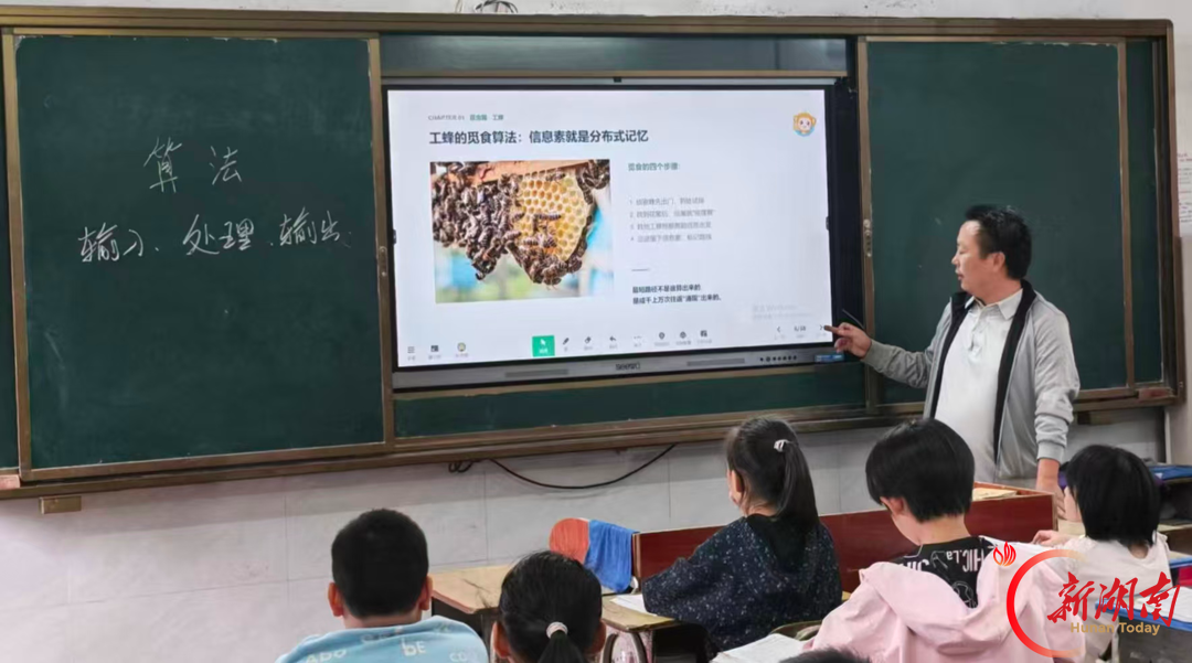 祁东县河洲镇中心小学：AI赋能跨学科教学，智探昆虫世界