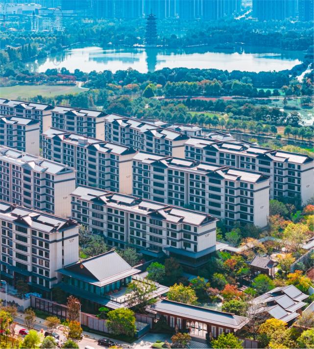 洋湖F03地块正式落槌，长沙一号墅区正式定鼎