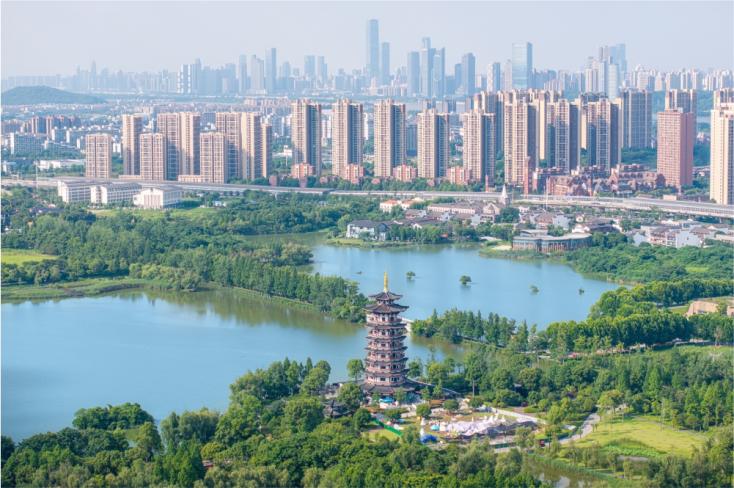 洋湖F03地块正式落槌，长沙一号墅区正式定鼎
