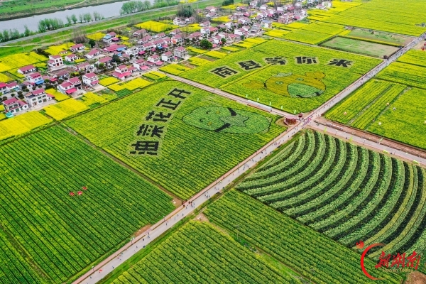 湖南日报特稿｜到南县，去找北！看农文旅体康融合发展的南县实践