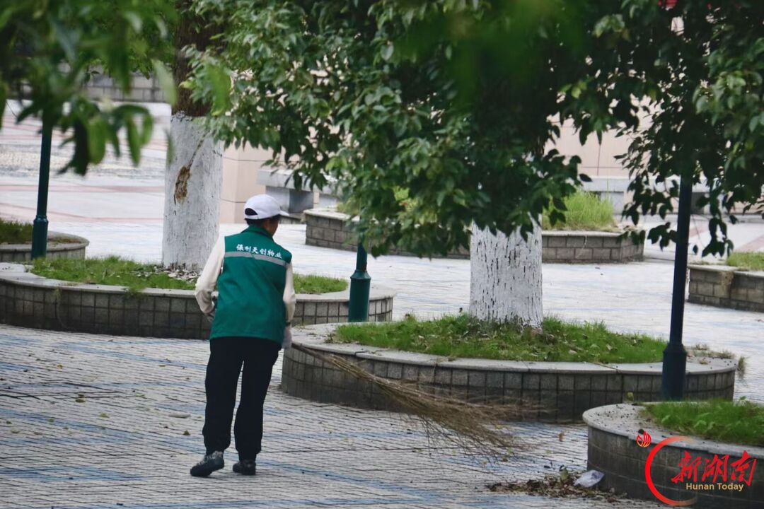 秋色征集令丨南国之秋,青绿胜春朝