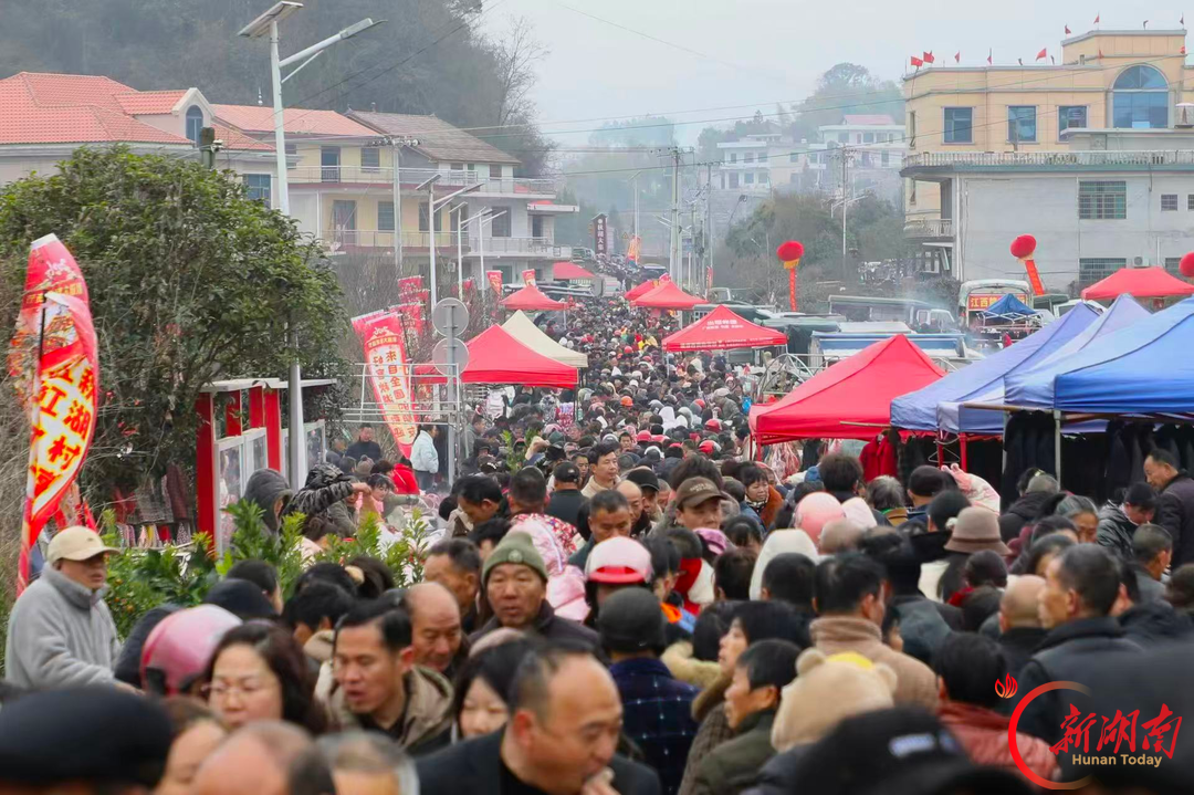 何方家国・娄底地名故事㉔|娄星区蛇形山镇：嘉谟古邑传文脉 乡绘新图向振兴