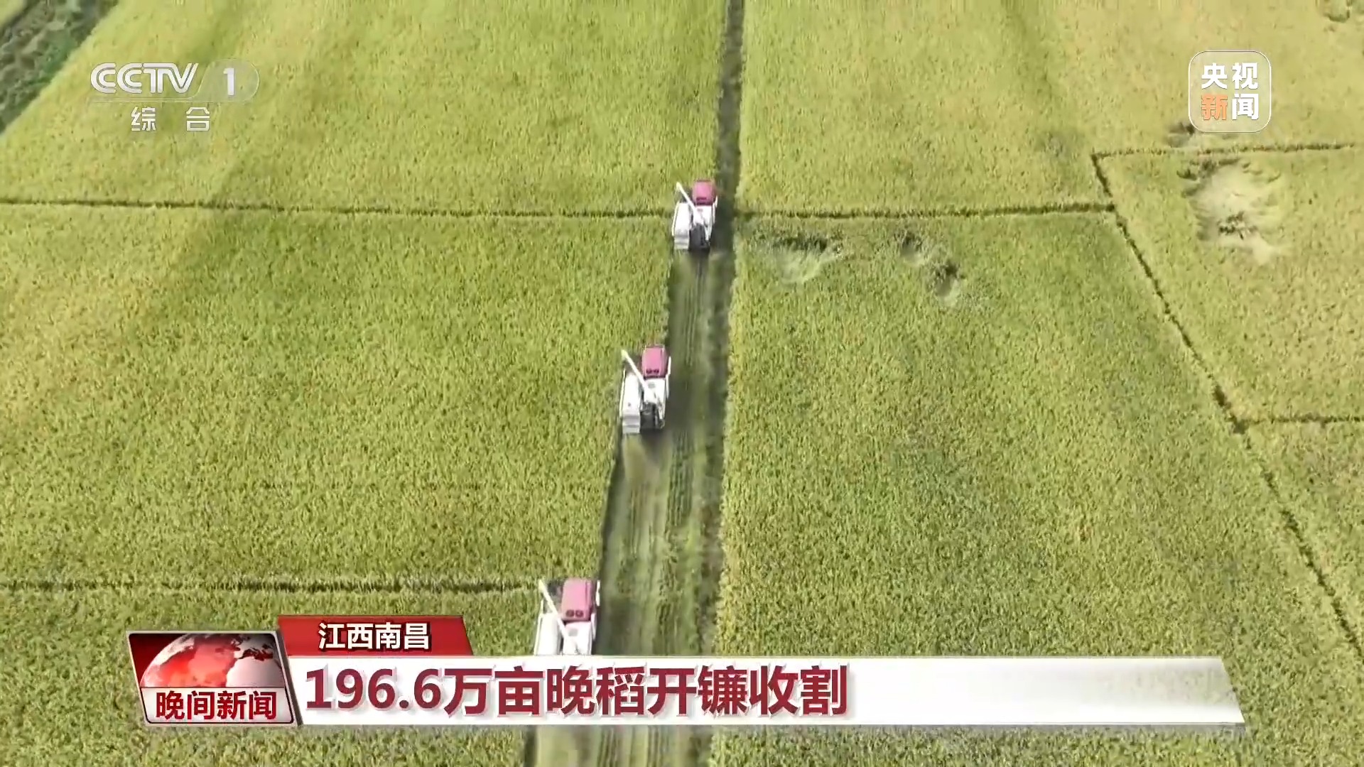全国秋粮大面积收获进行时!各地特色产业助农增收