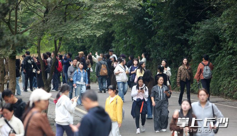 爱晚亭秋色吸引游人纷至沓来|组图