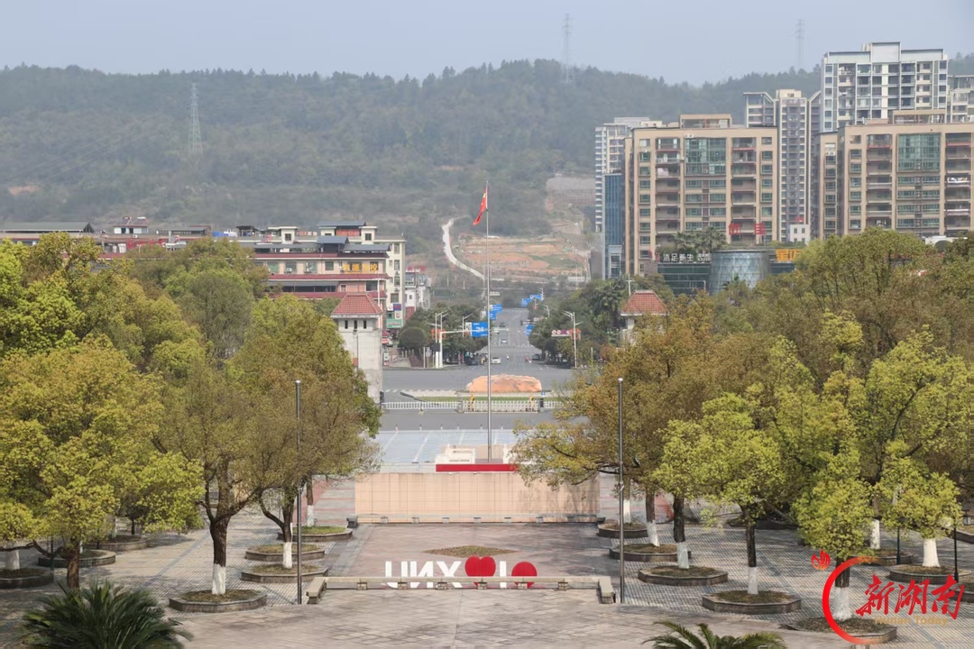 请收好这封秋天来信—— 把校园的秋色,拍成写给青春的情书