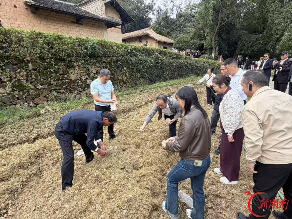 田间取真经 韶山淬初心 ——湖南省融资担保集团驻村工作队组织赴湘潭研学教育