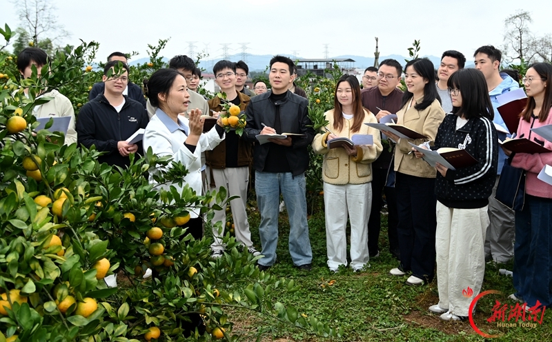 橘园变课堂