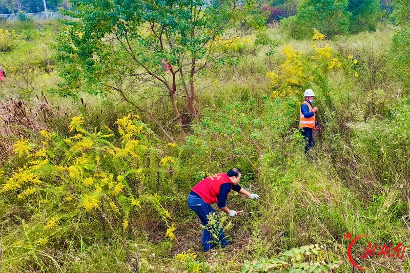 筑牢乡村生态安全屏障