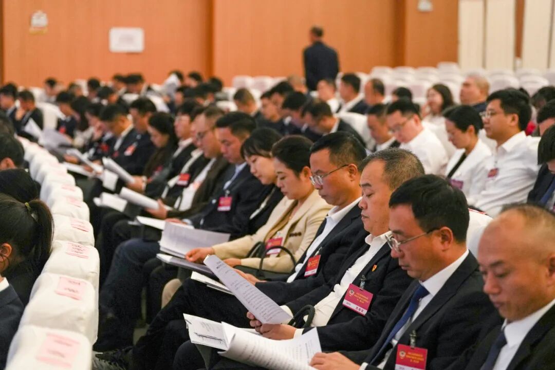 政协株洲市芦淞区第七届委员会第一次会议开幕