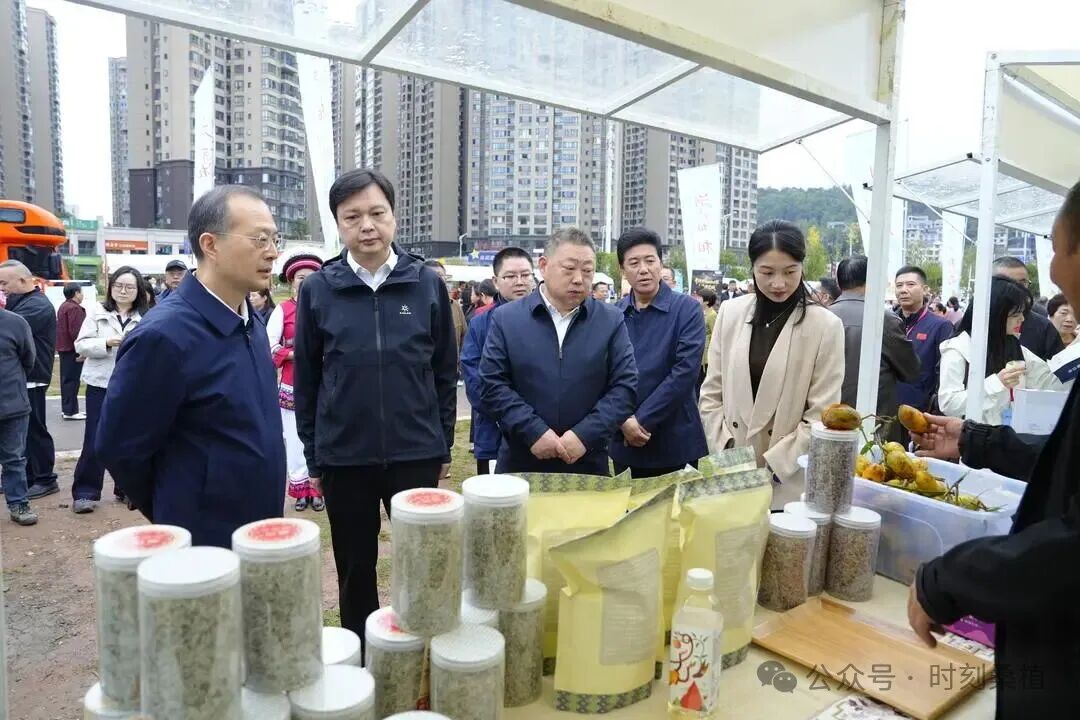 “潮起潇湘·相约湖南”2026湖南秋季文旅消费季在桑植启幕