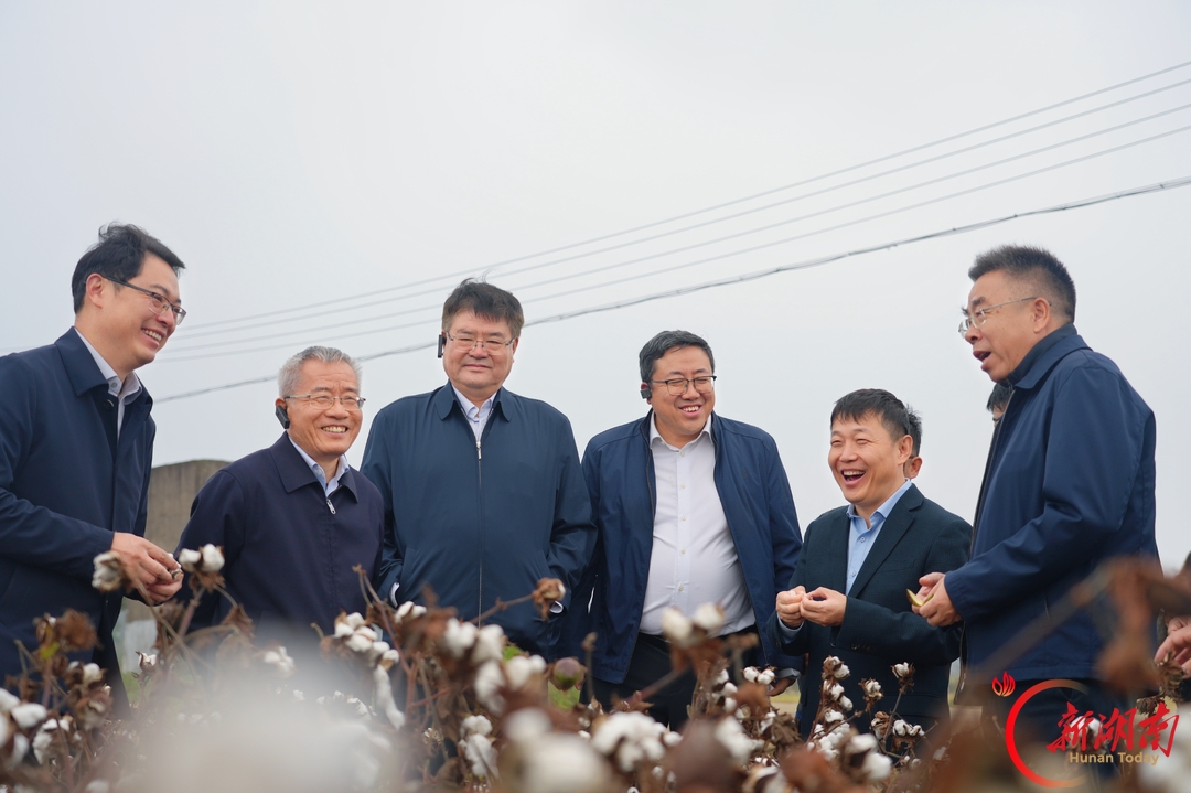 经济视野丨湖南这朵雪白的花，如何开得更盛