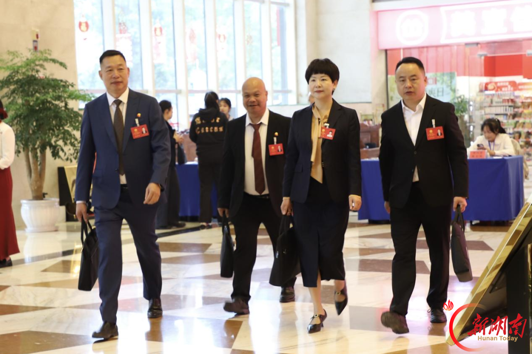 民声在肩,发展在心!娄星区人大代表报到