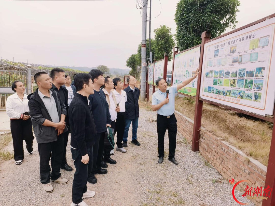 田间取真经 韶山淬初心 ——湖南省融资担保集团驻村工作队组织赴湘潭研学教育