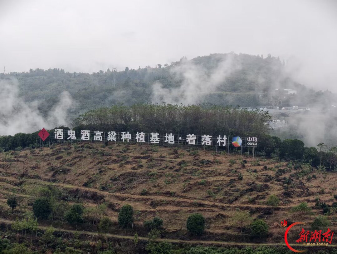 一粥一饭来之不易！这堂劳动课在田间开讲