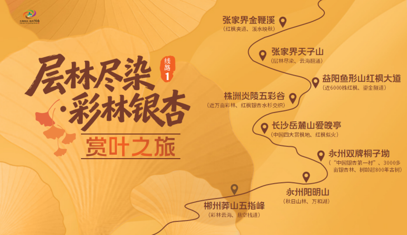 收藏!湖南发布10条秋游线路,赏叶、登高、采摘、美食等全包