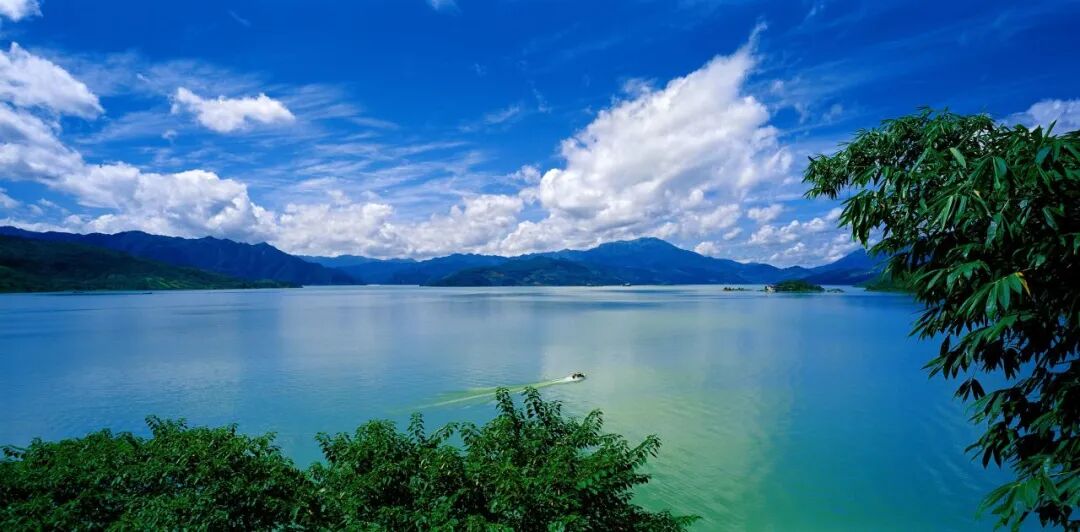“十年治水润三湘”③丨河长制十年，遇见水清岸绿美丽郴州