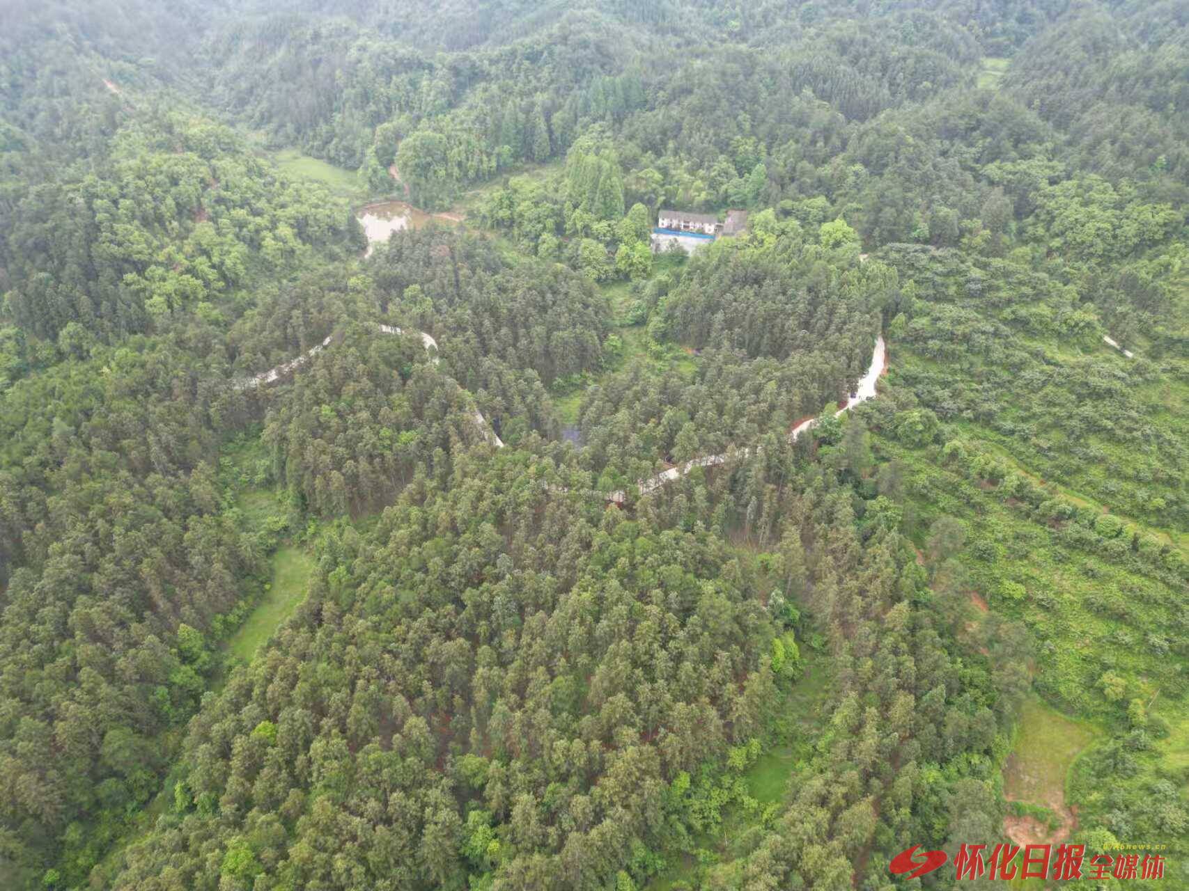 从“一株小草”看中国方案 会同案例为何能登上联合国生物多样性大会？