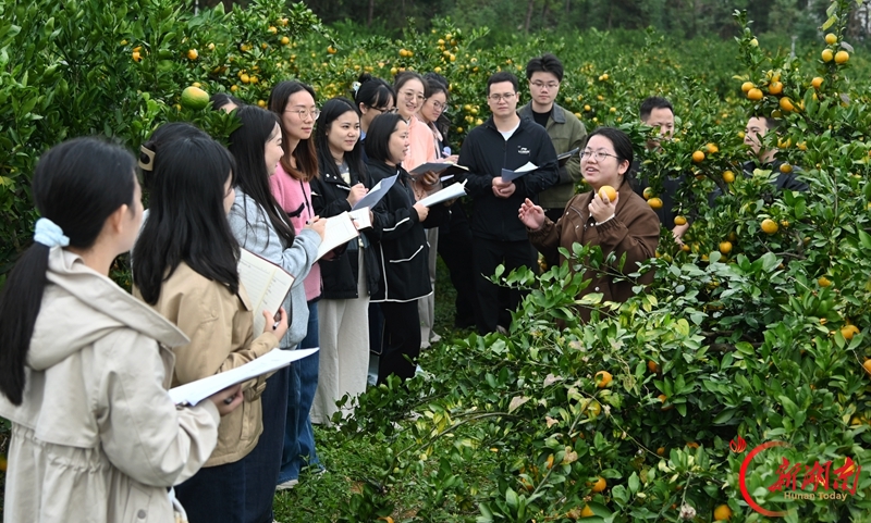 橘园变课堂