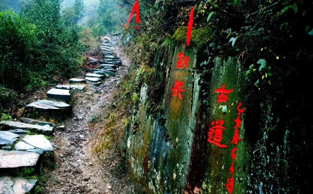 井字的三重奏