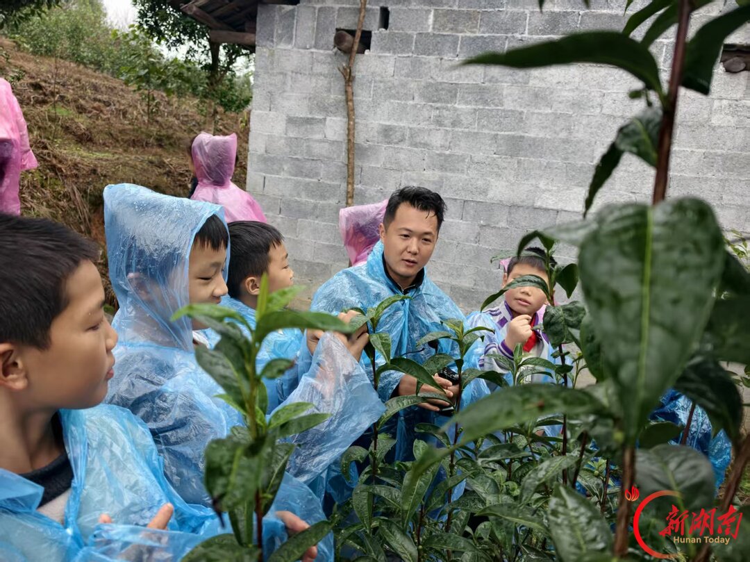 一粥一饭来之不易！这堂劳动课在田间开讲
