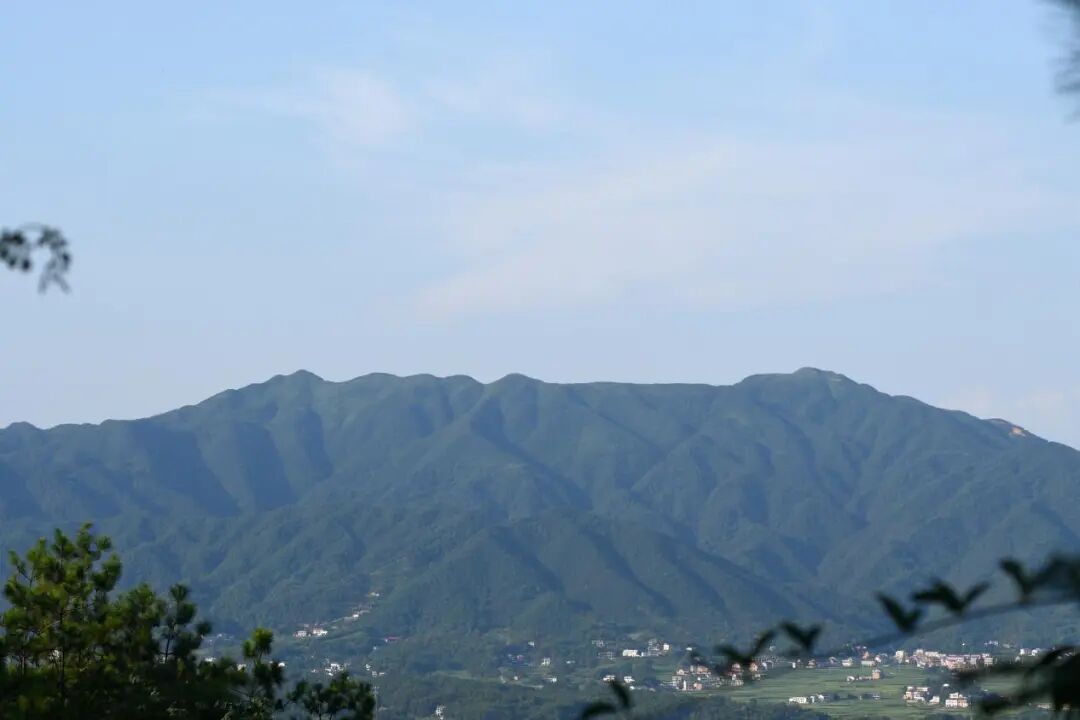 井字的三重奏