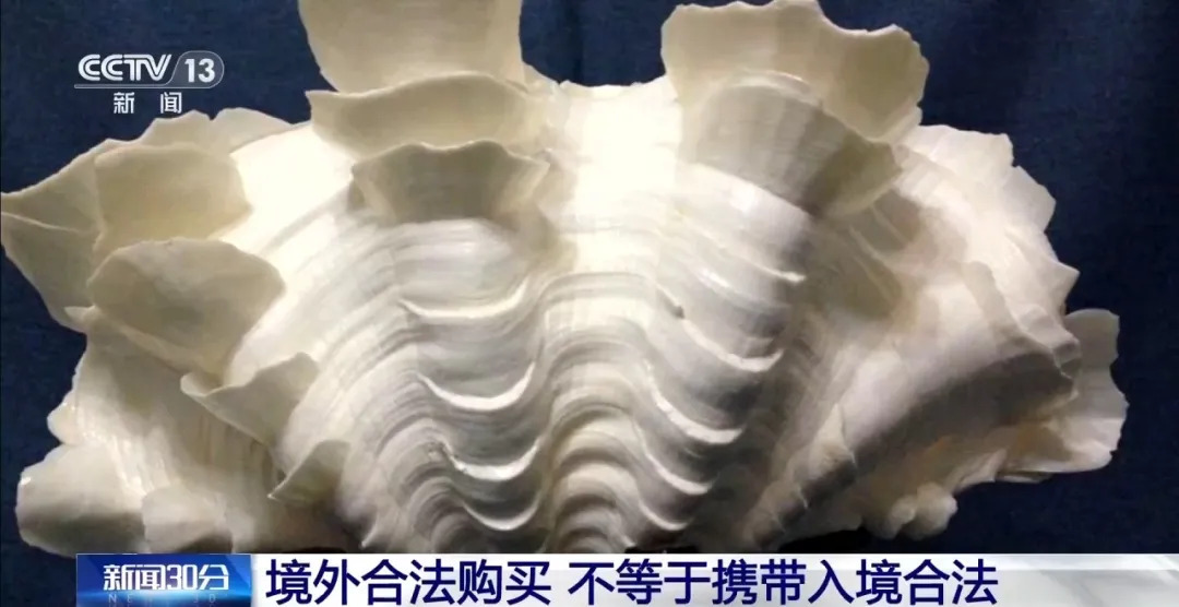 夫妻携242枚商周至民国时期钱币出国,想送给国外定居子女,被海关查扣