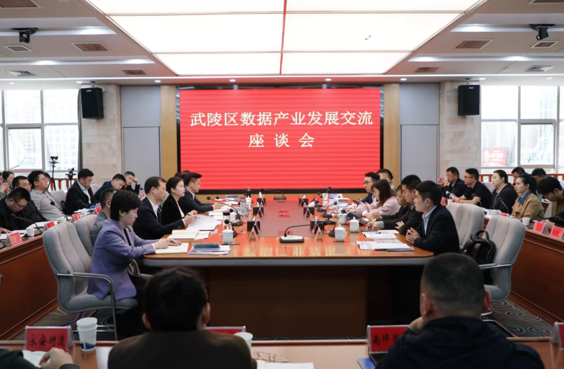 武陵区:政企围坐聊“数据” 同心携手破难题