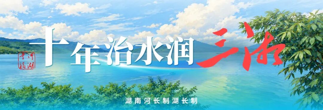 “十年治水润三湘”③丨河长制十年，遇见水清岸绿美丽郴州