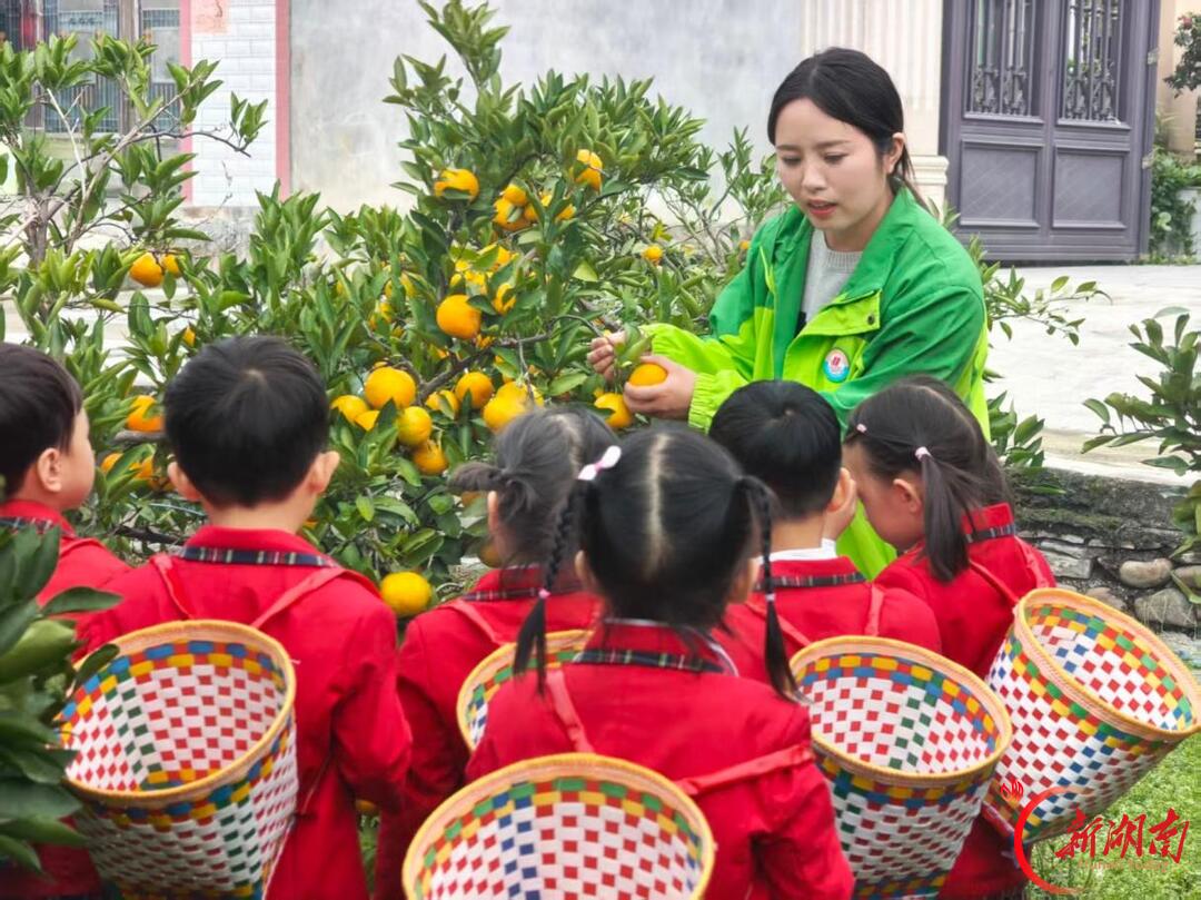 龙山县皇仓幼儿园:橘园里的成长课