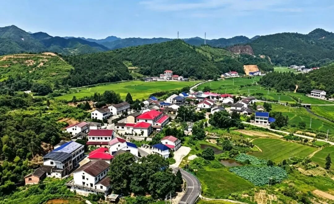 串起田园风光与千年诗韵！岳阳这条路获评“湖南省最美农村路”