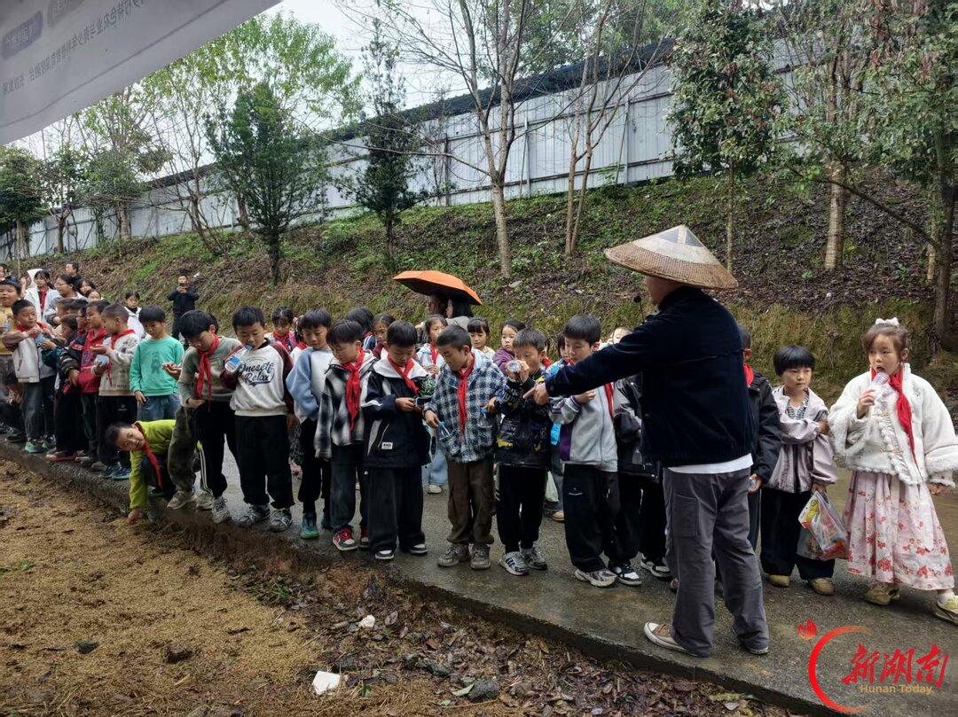 一粥一饭来之不易！这堂劳动课在田间开讲