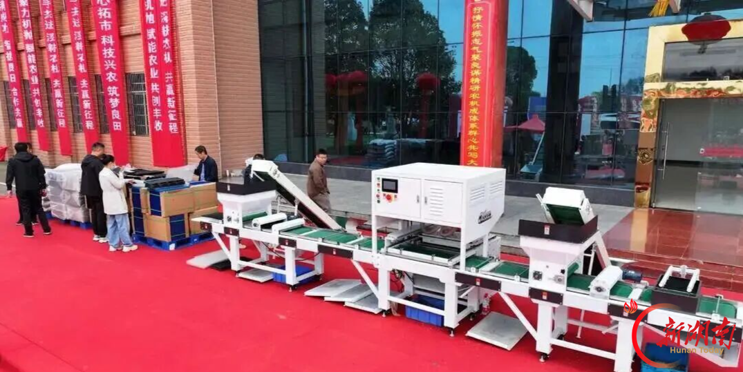 2027龙舟机抛秧体系在汨罗发布,覆盖播种育秧抛秧全流程