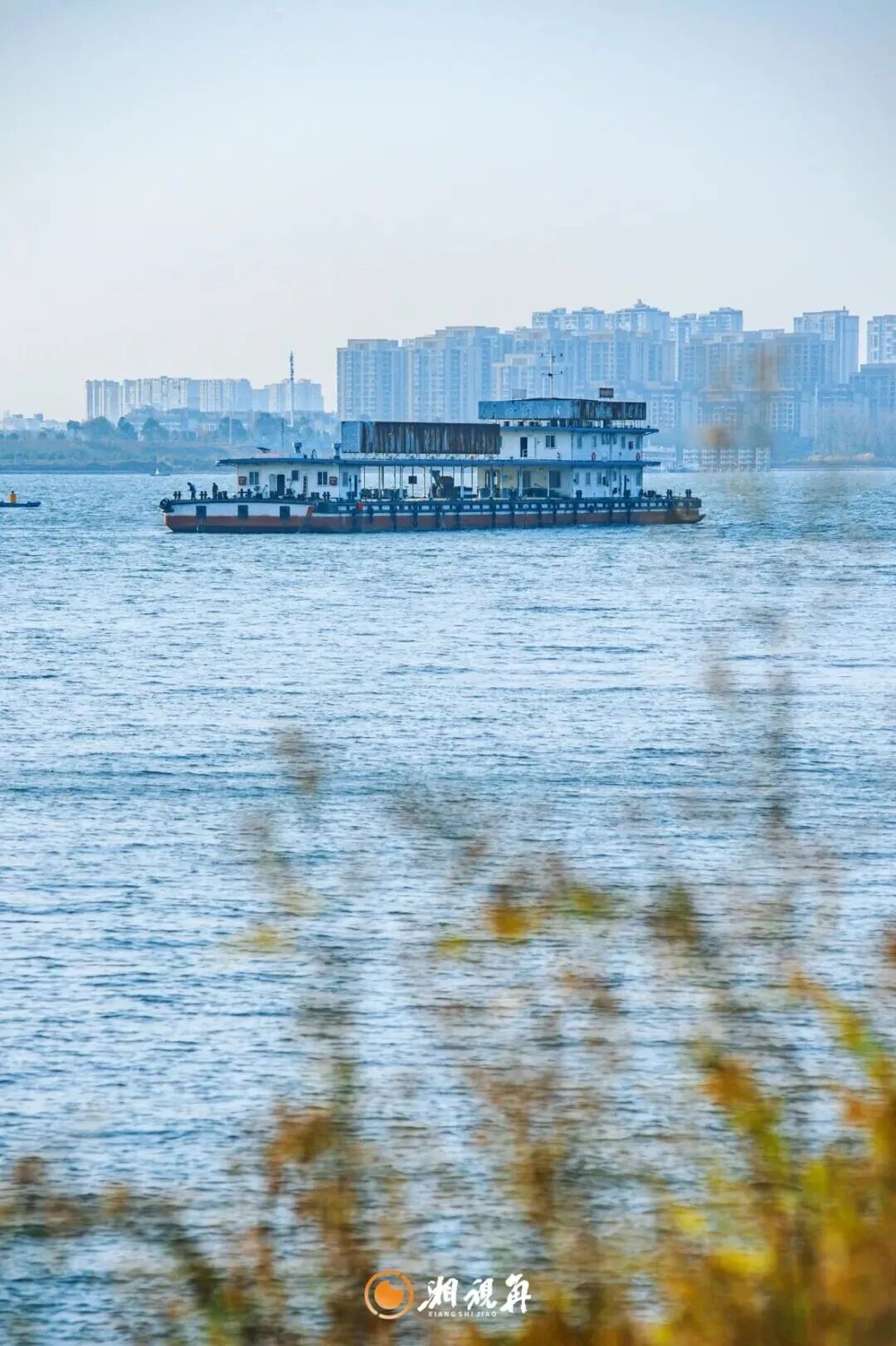 周末·赏秋丨花海、芦苇、落日……长沙的秋比滤镜里的还要好看