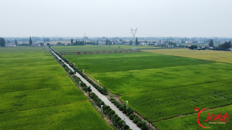夯实洞庭湖区粮食安全根基