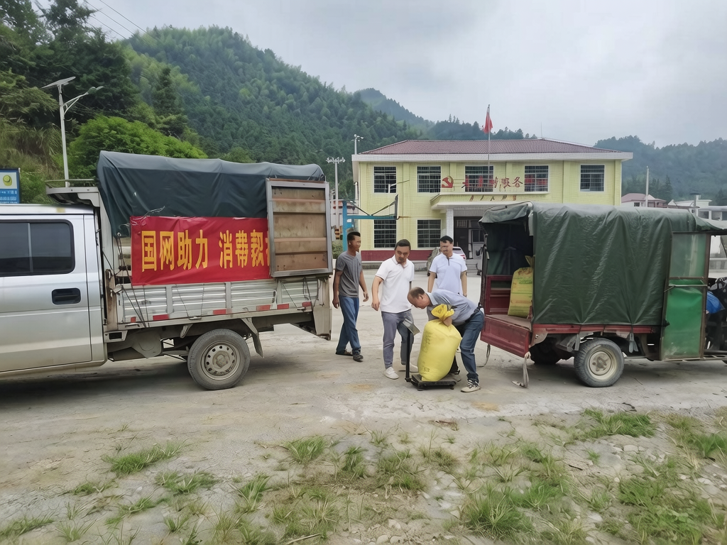 国网邵阳供电公司:驻村助农打造生态大米品牌