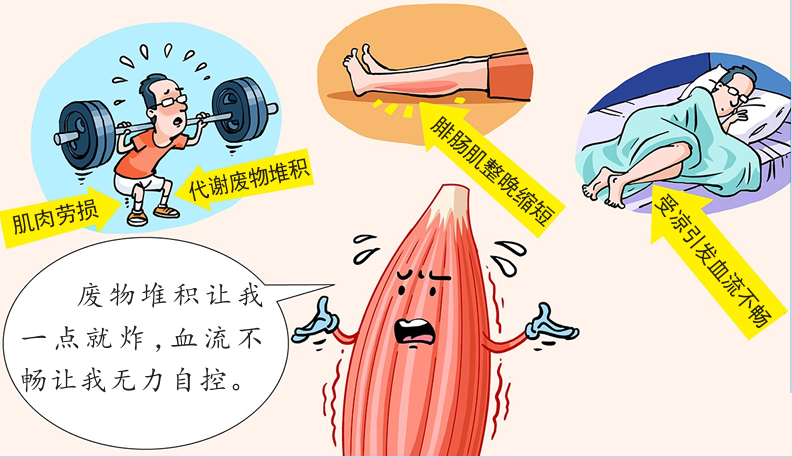 晚上睡觉总抽筋?可能不只是缺钙……(附快速缓解方法)
