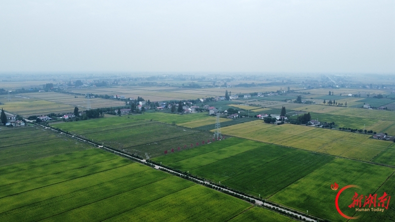 夯实洞庭湖区粮食安全根基
