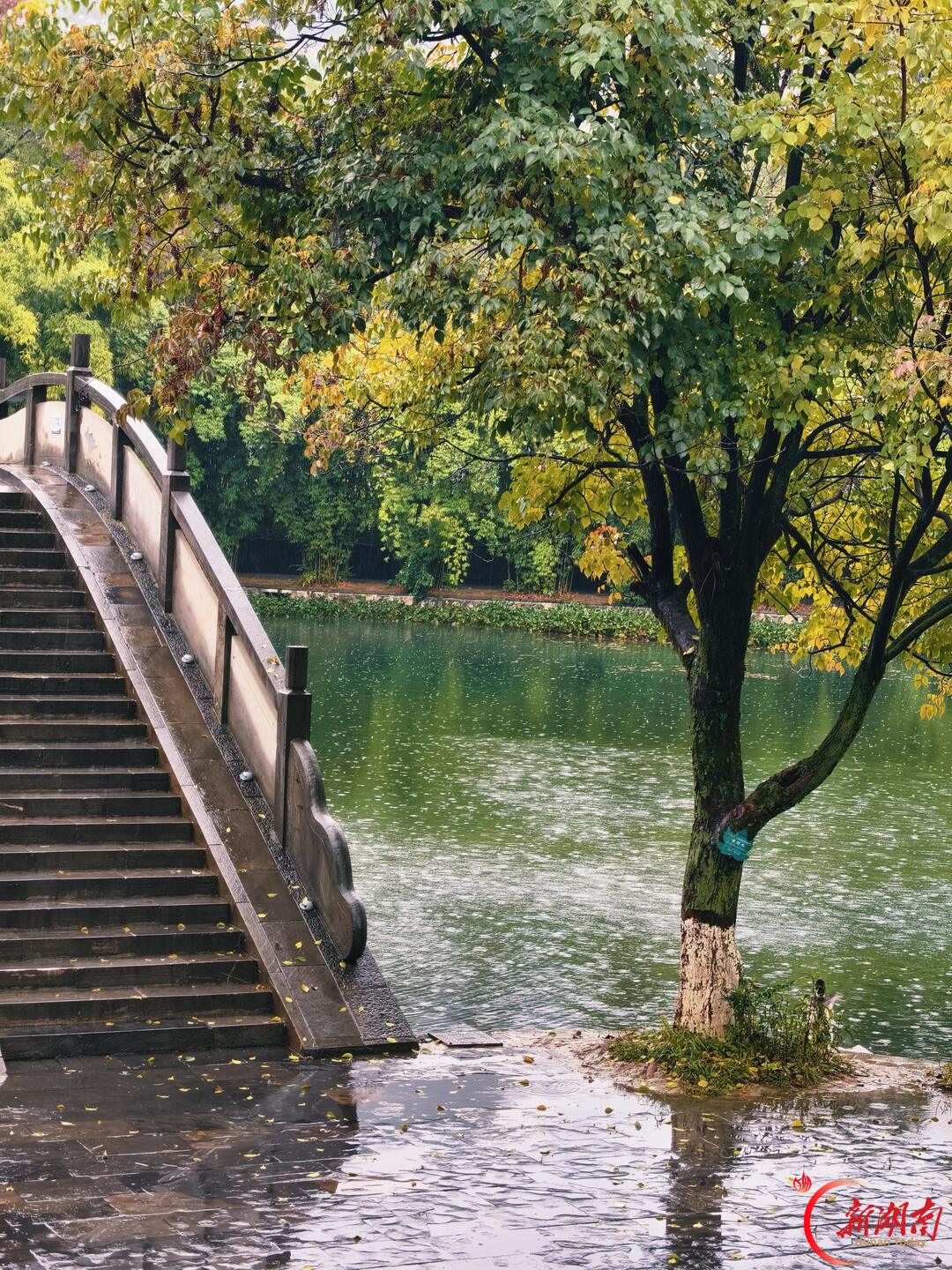 秋·融
