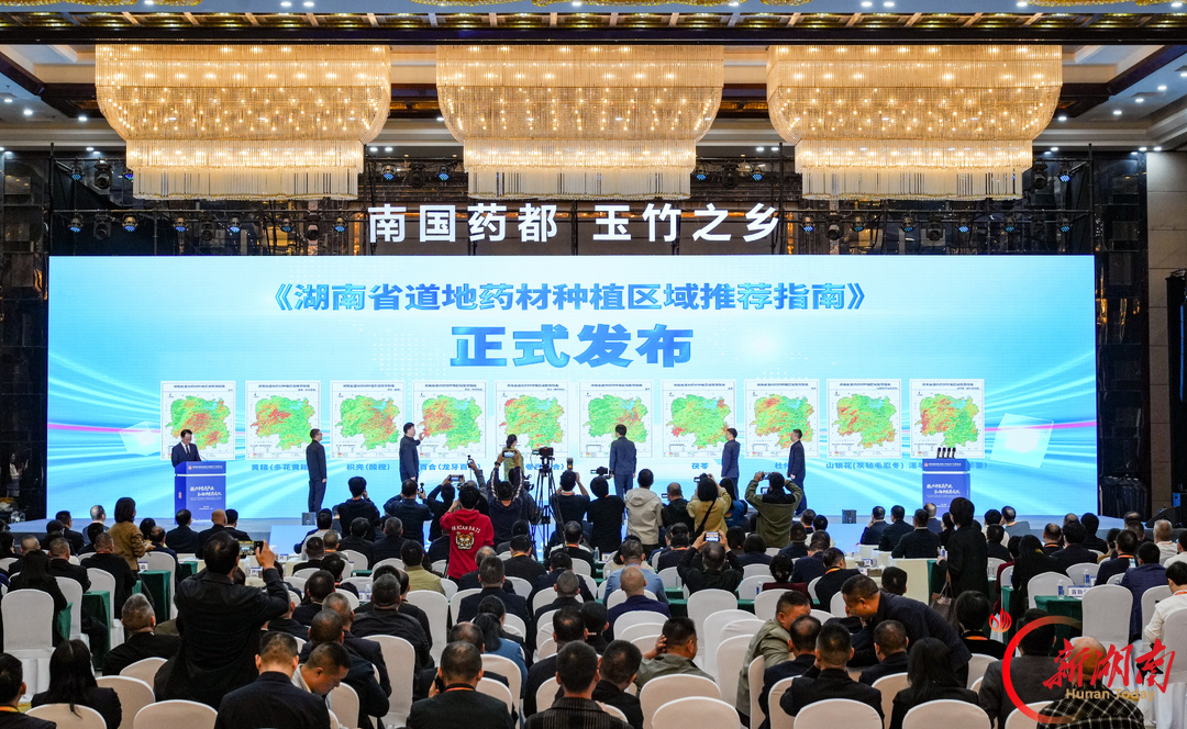 集中签约中医药产业项目14个丨第四届湖南（廉桥）中医药产业博览会在邵东开幕