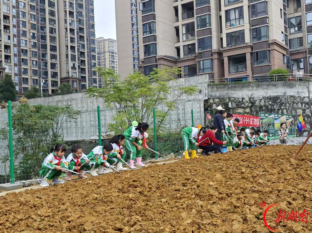 把劳动课堂搬进田间地头!湘西州溶江小学亲子共育劳动基地开园