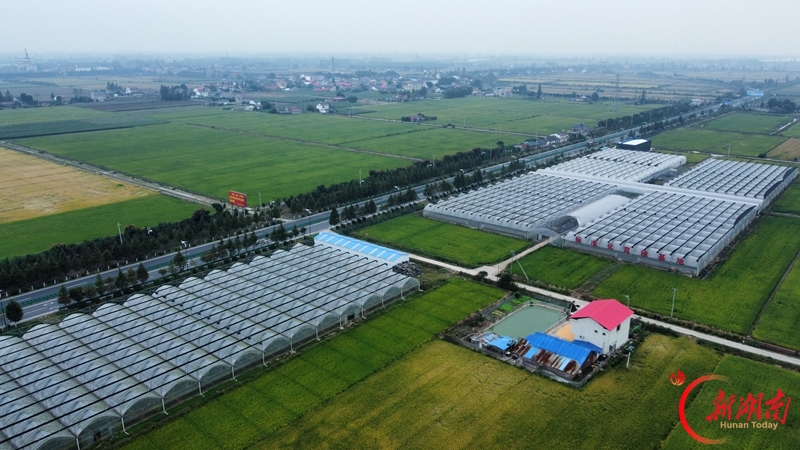 夯实洞庭湖区粮食安全根基