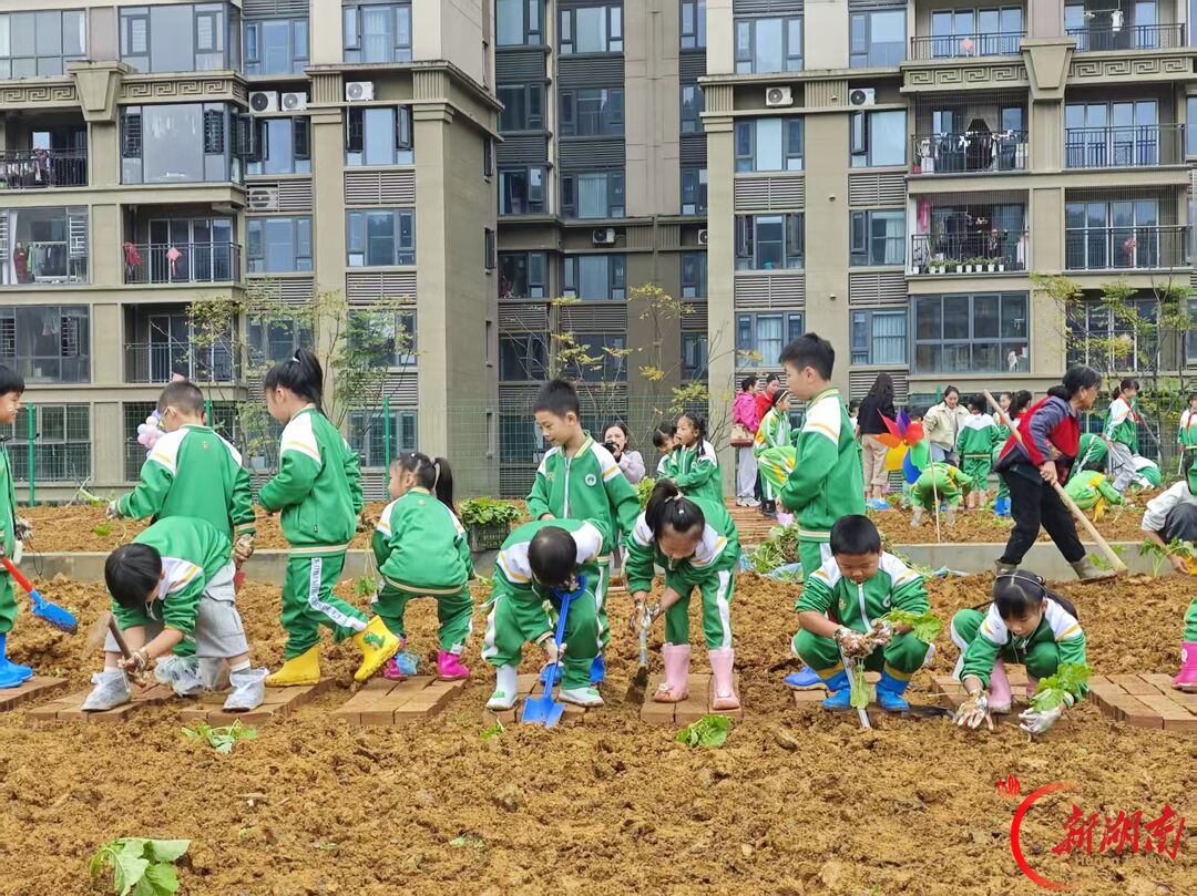 把劳动课堂搬进田间地头!湘西州溶江小学亲子共育劳动基地开园