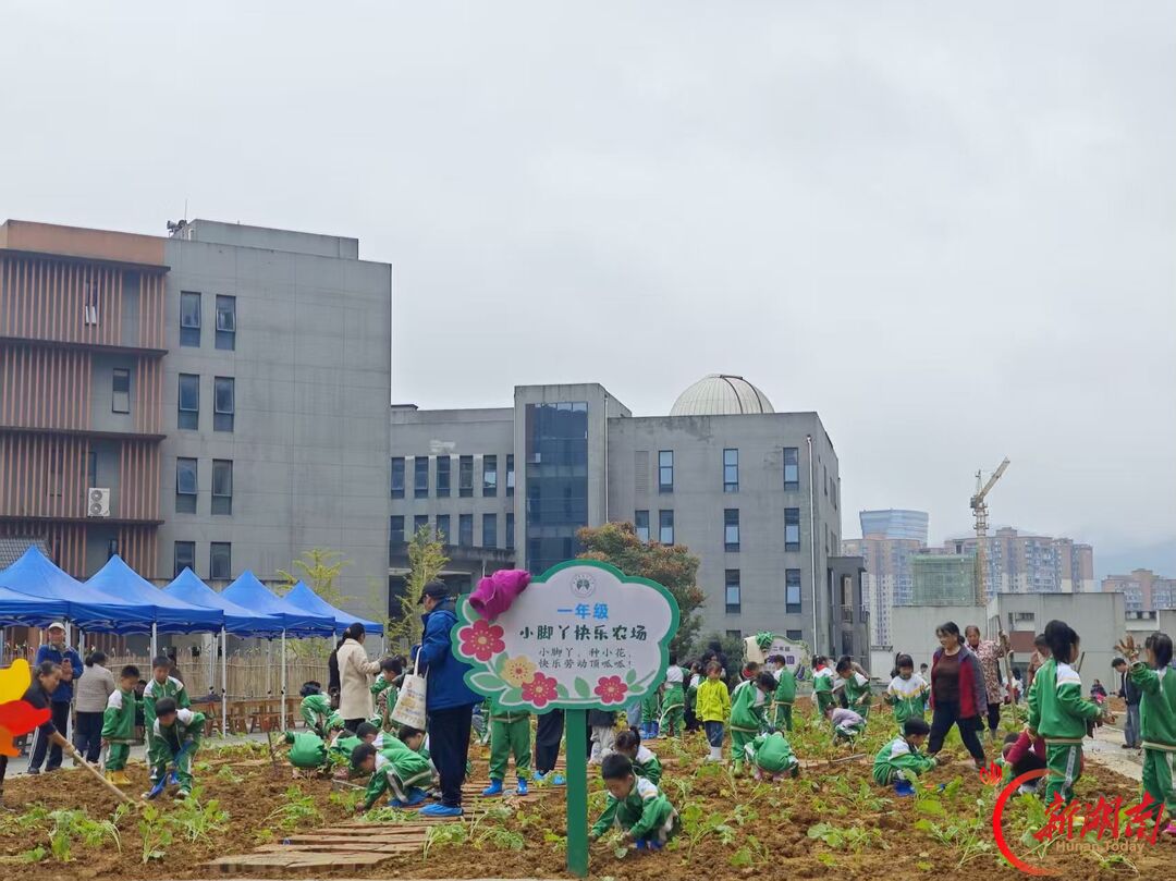 把劳动课堂搬进田间地头!湘西州溶江小学亲子共育劳动基地开园