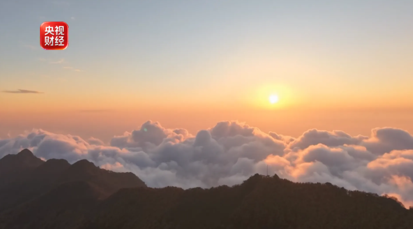周末·赏秋丨秋已深,叶正红!这些地方最美秋色已上线