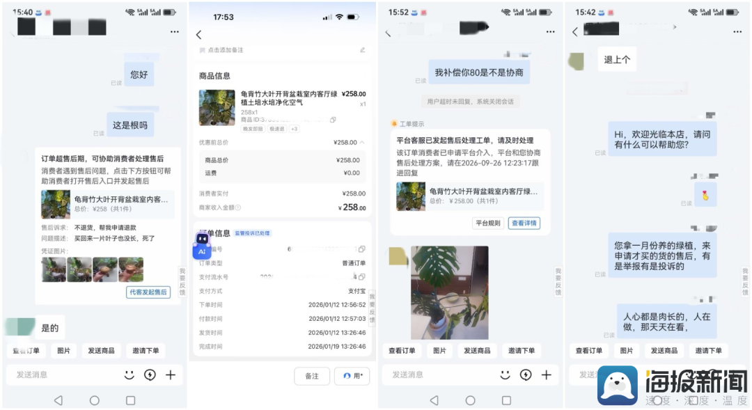 258元网购龟背竹养半年死了,顾客要求全额退款,商家拒绝后被投诉到闭店,对方竟告上法庭,商家决定应诉:店都没了,我为什么要妥协