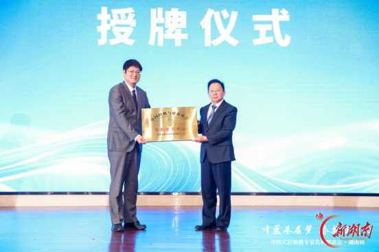 中医基层梦・春播在行动：推动穴位贴敷技术在湖南基层规范化应用