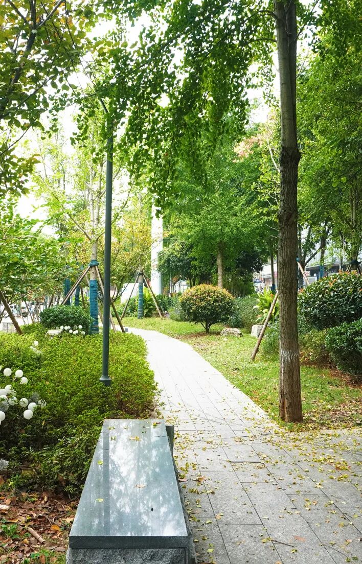 湘江新区建成123处公园，小口袋藏大幸福